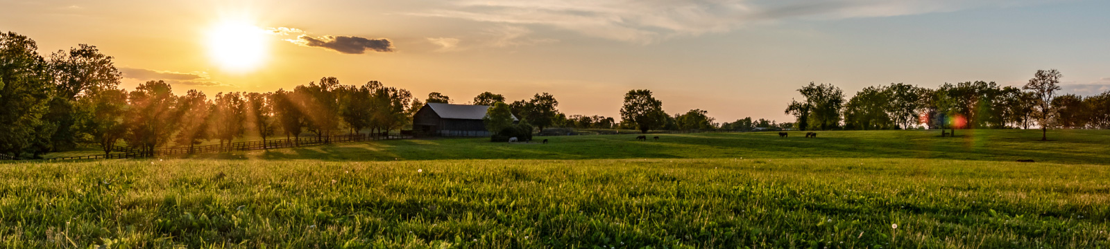 A rural scene during sunset